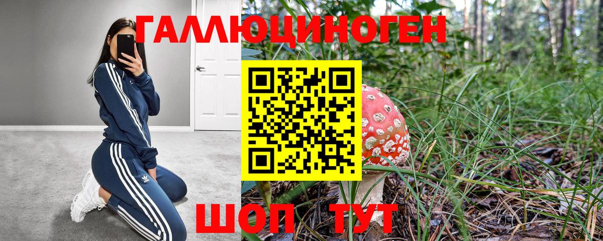 Набережные Челны  Галлюциногенные грибы Psilocybe  Вход с VPN 